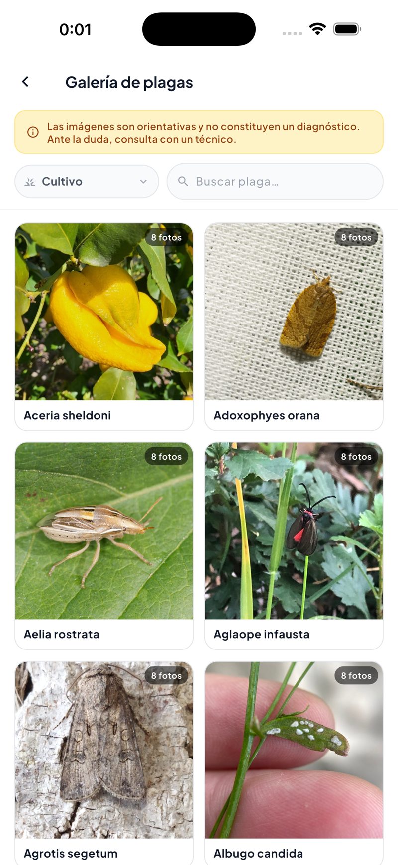 Galería de plagas